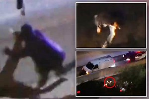 Horror as California car chase ends with perp struck and killed on live TV