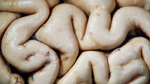 Quit smoking adverts highlight toxic risk to brain