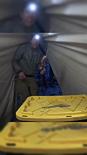 Captivating Campfire Cooking in the Dark Woods