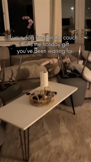 Attention American Pet Moms At Home! 🐶🐱 Say goodbye to pet messes on your sofa! 🛋️✨ Introducing Pet-Friendly Sofa Covers – your solution for a pristine sofa. Our blend of durability, stretchiness, and softness protects against stains and scratches. 💪 Why choose us? ✅ Easy to install ✅ Secure fit ✅ Machine washable ✅ Extra durable fabric ✅ 120-day risk-free trial ✅ Free shipping over $45 ✅ Hassle-free returns "These covers are lifesavers for our white sofa with two Labradors!" - Steffaney S. 