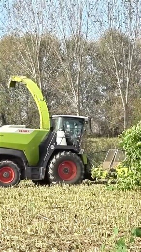 81K views · 537 reactions | Let's get started with today's silage chopping✅ #farmlife #farmerlife #machinery | Big Machines | Facebook