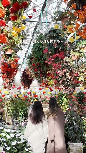 鬼怒川グランドホテル夢の季 -ゆめのとき-【公式】 on Instagram: "本日は鬼怒川でも人気の観光スポット「日光 花いちもんめ」さんをご紹介します💁🏻‍♀️ こちらは関東最大級の花のテーマパーク❕ ベゴニアを中心に四季折々に咲き誇る美しい花々が一年中楽しめ 季節ごとのイベントや、いちご狩り、ふれあい動物広場も人気なんです💕 おすすめはカラフルな鳥たちへの餌やり🦜🫧 かわいいですよ〜🥰 特に温室では、熱帯植物が咲き乱れ まるで異国に迷い込んだかのよう✨✨ 家族連れやカップルはもちろん、写真好きさんにもおすすめの映えスポットです 鬼怒川温泉駅からバスでアクセスも可能なので 公共機関で移動される方にもおすすめです🚌 🌸日光 花いちもんめ🌸 〒321-2525 栃木県日光市小佐越坂の下800 0288-77-0866 @nikko_hanaichimonme_flowers ⋅⋅⋅⋅⋅⋅⋅⋅⋅⋅⋅⋅⋅⋅⋅⋅⋅⋅⋅⋅⋅⋅⋅⋅⋅⋅⋅⋅ 鬼怒川温泉駅から徒歩8分🚃 四季を楽しむ日本庭園🍁と絶品会席🥢の宿 「鬼怒川グランドホテル 夢の季」です✨ 当館の耳より情報や