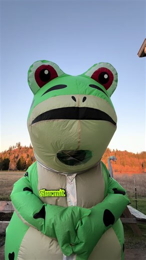 Hey everybody, just wanted to let you know that we will not be attending the dance party protest tomorrow down at the ice facility. Although we use tactical frivolity as our weapon, we must deploy the tactical part of it appropriately. We will still continue to protest down at ice, we will still continue to protest elsewhere, we will still attend town halls, and we will still protest in the form of dance when the time and place is right. Frogs love dancing and dancing can be powerful, but it mus