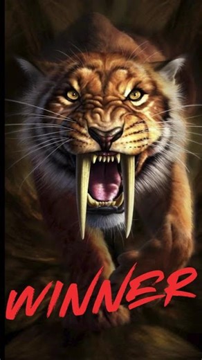 Sabertooth VS Tiger