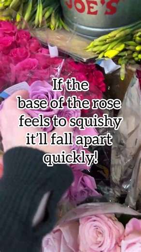 Rose shopping guide for Mothers Day Flowers! 💐 #roses #mothersday