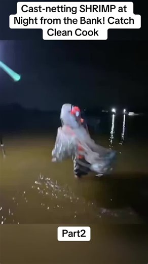 Cast-netting SHRIMP at Night from the Bank! Catch Clean Cook part2#fishing #fishtok #fish