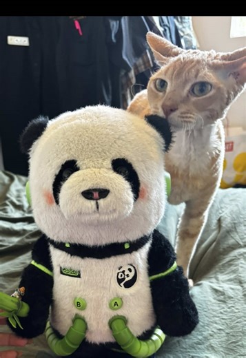 she is my most prized possession 😫💗💝💖💞💕💘 #iggyfied #thoughtsandexpressions #spacemolly #ily #bruh