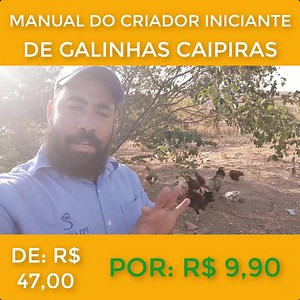 109 reactions · 16 shares | Você começou uma criação de galinhas como...