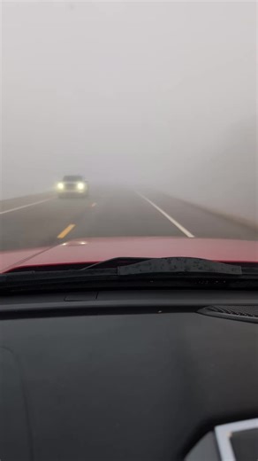 Super Thick. #fog #turfwoody