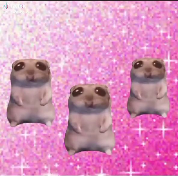 Cute Hamster Dance Compilation