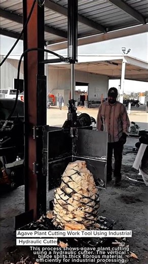 Agave Plant Cutting Work Tool Using Industrial Hydraulic Cutter #worktool
