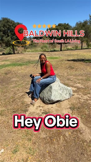🌆✨ Let’s talk about Baldwin Hills! This neighborhood isn’t just a place to live—it’s a community filled with history, culture, and breathtaking views of Los Angeles. From stunning homes to vibrant local spots, Baldwin Hills truly captures the spirit of LA living. 💫 What’s your favorite thing about Baldwin Hills? #OBIE #Sunday #LosAngeles #Lifestyle #Homes #Realtor #RealEstate #Agent #Buy #Sell #Invest #LAHomes #DreamHome #BuySellInvest #BimaxHomes #PacificPlayaRealty #LARealtor #HomeTour #Real