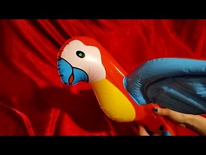 INFLATABLE PARROT INFLATION AND DEFLATION!!!!
