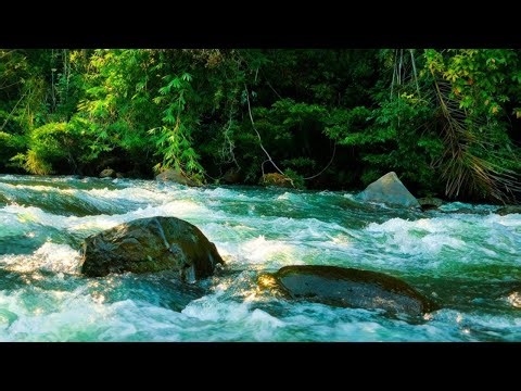 FLOWING RIVER AMBIENCE FOR MEDITATION & STRESS RELIEF
