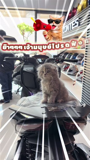 จ้าววมนุษย์มีเรื่องจะบอกก!! ข้อเสนอใหม่จาก ZONTES
