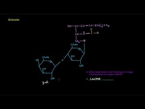 Lipids (Part 10 of 11) - Membrane Lipids - Sphingolipids (examples)