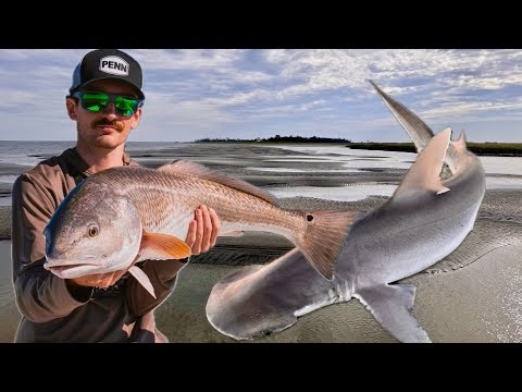 Coastal Tour Pt 7 - SAVANNAH & CHARLESTON