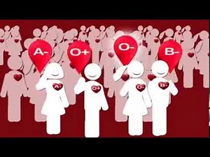 Core Four Blood Types