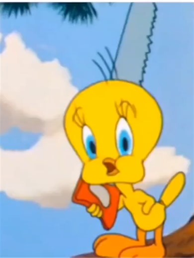 Funny Cat and Tweety Bird Cartoon Adventures from 1951