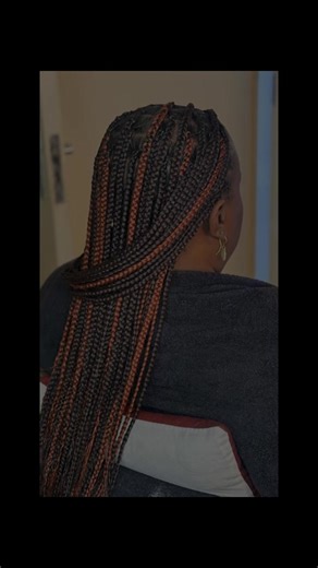 highlighted Braids By Barbie Braids 2799920 for bookings