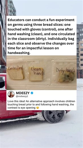 The Bread Germ Experiment That Teaches Handwashing 🍞 #ScienceExperiment #Handwashing