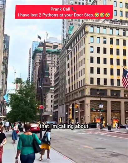 I Lost 2 Pythons at Your Doorstep… Please Don’t Panic!  In today’s prank call, I told someone that I accidentally lost two BIG pythons right at their doorstep — and their reaction was priceless!  From shock to confusion to pure panic, this one had everything! If you enjoy wild prank calls like this, don’t forget to like, share, and follow for more!  #PrankCall #PythonPrank #FunnyPranks #ComedyVideo #StayLaughing #prankcalls | Prank Calls | Facebook