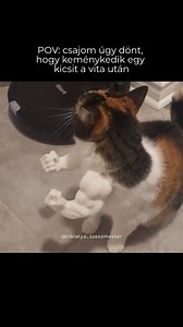 1M views · 8.5K reactions | Aranyos, nem lehet rá haragudni. Dicsértessék! | Tibi atya | Facebook