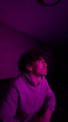 Olivia Rodrigo Drivers License Album: Heartfelt Lyrics and Emotional Storytelling