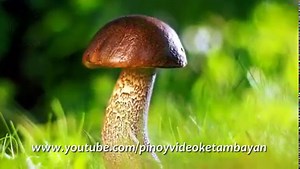 168K views · 2.1K reactions | "Kahit Isang Saglit" is a remake of an original Tagalog song by Vernie Varga. Martin Nievera revived it as theme song of the 2001 Star Cinema romance-drama of the same title, starring Judy Ann Santos, Piolo Pascual and Leandro Muñoz. | Pinoy Videoke Tambayan | Facebook