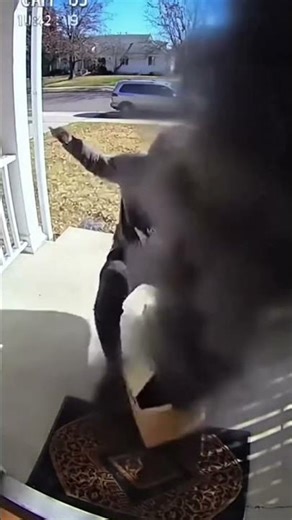 Package Thief Opens the Box… and Gets Blasted with Black Dust! 😳📦💨 | Caught on Camera