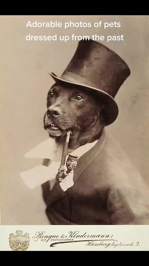 HistoryVintage on TikTok