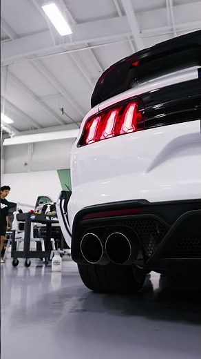 2021 Shelby GT500 Signature Edition Gets Full Body PPF