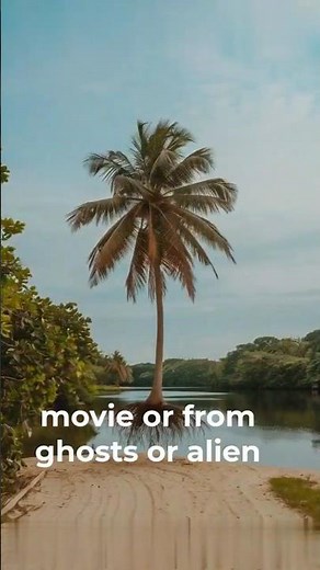 Walking Trees. Trees Can Really Walk? The Amazing Story of the Walking Palm Trees! #ytshorts