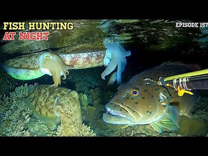 NIGHT SPEARFISHING EPISODE 157 | FISH HUNTING AT NIGHT