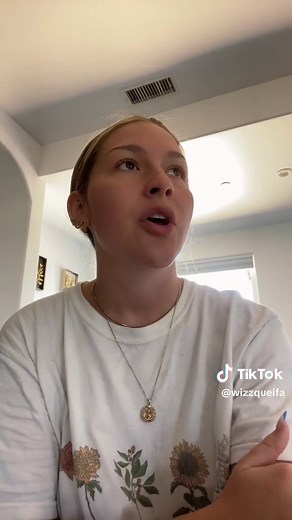 The Unseen Side of Society: Following Half Naked Girls on the Internet