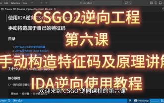 CSGO2逆向工程第六课手动构造特征码及原理讲解IDA逆向使用教程
