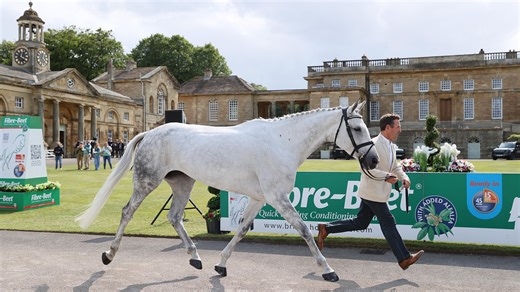 One horse leaves competition and three held at Bramham first trot-up