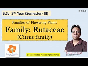 Family Rutaceae | citrus family | Botany simplified
