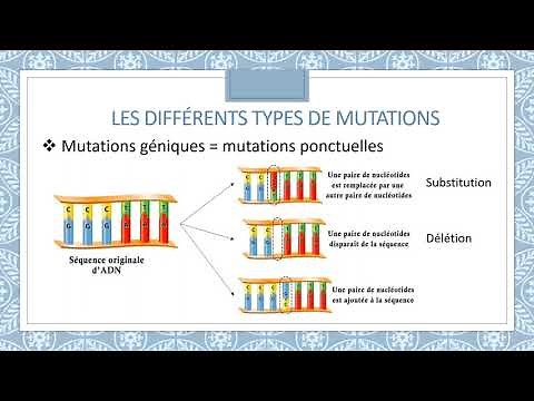Mutations et systèmes de réparation de l'ADN