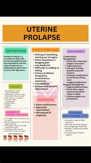 Nurse Educator on Instagram: "🩺 “When pelvic support fails, what happens to the uterus? 👉 Uterine prolapse – do you know its causes, stages, and nursing care?” Like/share/follow/ #UterineProlapse #GynecologyNursing #ObstetricsAndGynecology #NursingStudents #NursingEducation"
