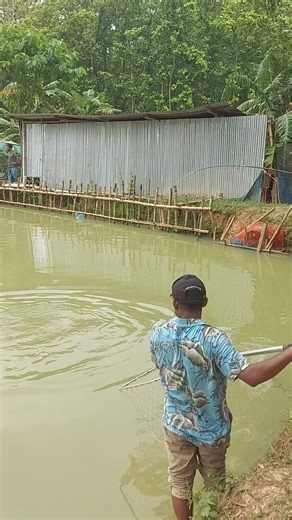 10K views · 71 reactions | Why the fish moving with hooks! #fish #fishmoving #why #Moving #hooks | Fish Watching | Facebook