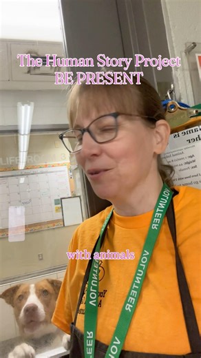 🐶 Title: What Animals Teach Us About Life | Be Present in the Moment (Human Story Project Ep. 4)