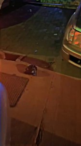 Thieves make off with media personality Kasuku 's car side mirrors. | Exclusive. Bizz