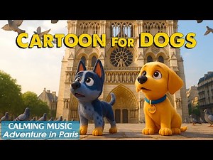 Cartoons for DOGS to Watch: The Best Entertainment for Dogs When Left Alone at Home 🐾 Music for Dogs