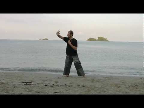 Medical Qi Gong to Balance Water Phase and Kidney/Bladder Channels