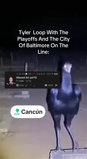 Welcome To Cancun | #viral #baltimore #lamarjackson #tylerloop #fyp | tyler loop