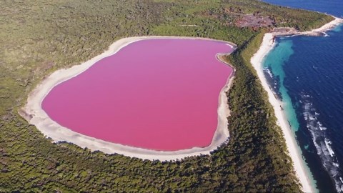 Drone Views of Pink Lake Hillier, Western Australia's Coastal Gem