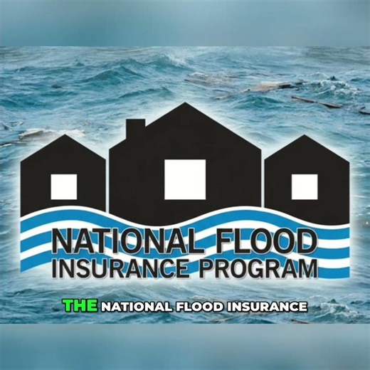Flood Insurance: Why Your Homeowner's Policy Fails #shorts