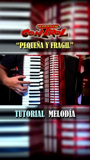 "Pequeña y Fragil" TUTORIAL Acordeon de teclas #control #acordeondeteclas #pequeñayfragil #regionalmexicano | Aprende acordeon de teclas