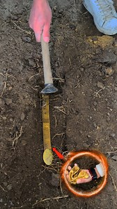 moment of finding the golden belt | Gold mine